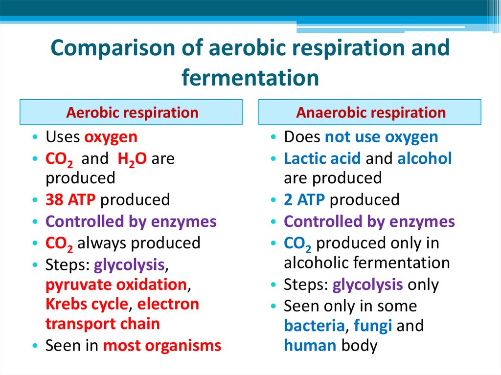 Fermentation vs anaerobic respiration