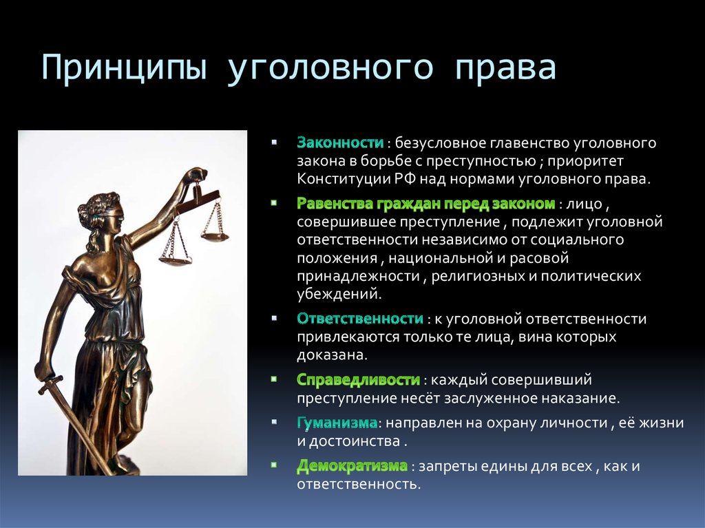 Составьте схему принципы уголовного кодекса рф выскажите свое мнение почему уголовный закон