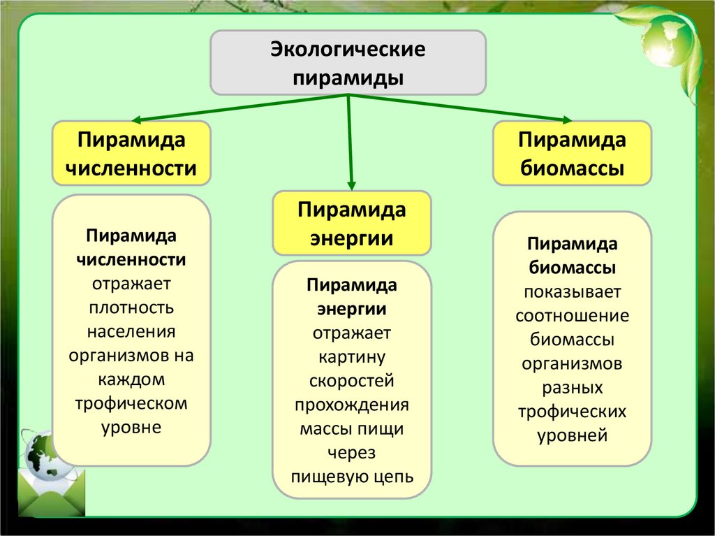 Экологическое сообщество презентация