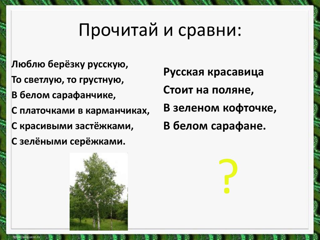 Песенки потешки 1 класс презентация школа россии. Люблю березку. Загадки песенки потешки небылицы 1 класс школа России презентация. Загадки песенки потешки задание.