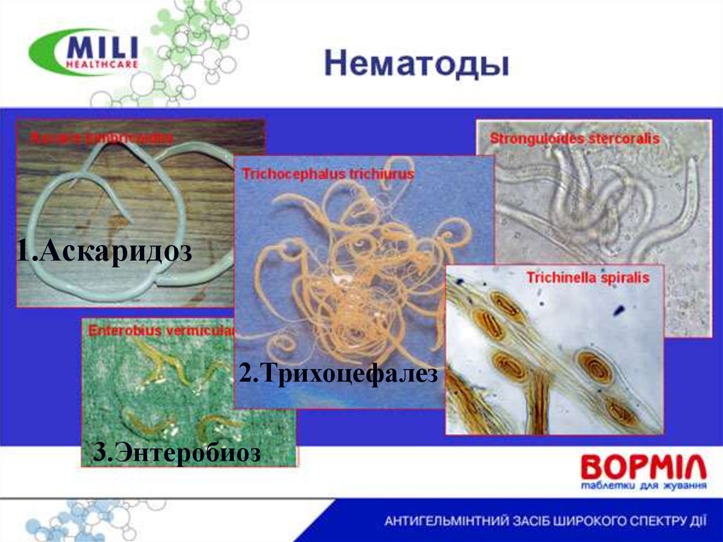 Антипротозойные средства презентация