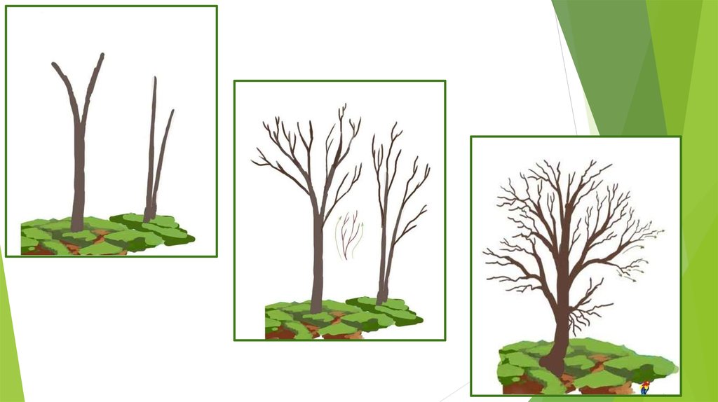 Деревья проснулись урок изо 1 класс презентация