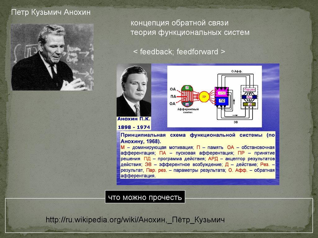 Автор теории функциональных систем. Петр Анохин теория функциональных систем. Анохин Петр Кузьмич функциональная система. Теории функциональных систем Павлова. Анохин Петр Кузьмич вклад в науку.