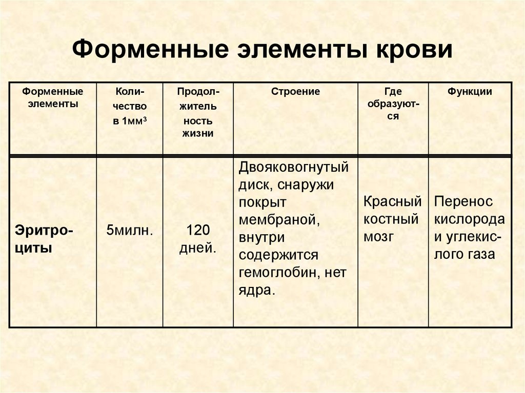 Форменные элементы крови презентация анатомия