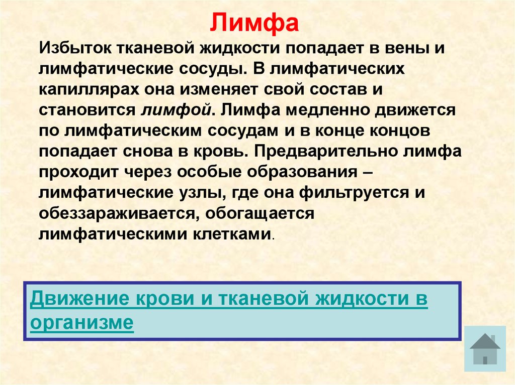 Тканевая жидкость это в биологии. Как образуется лимфа. Избыток тканевой жидкости. Как образуется лимфа кратко. Как лимфа попадает в кровь.