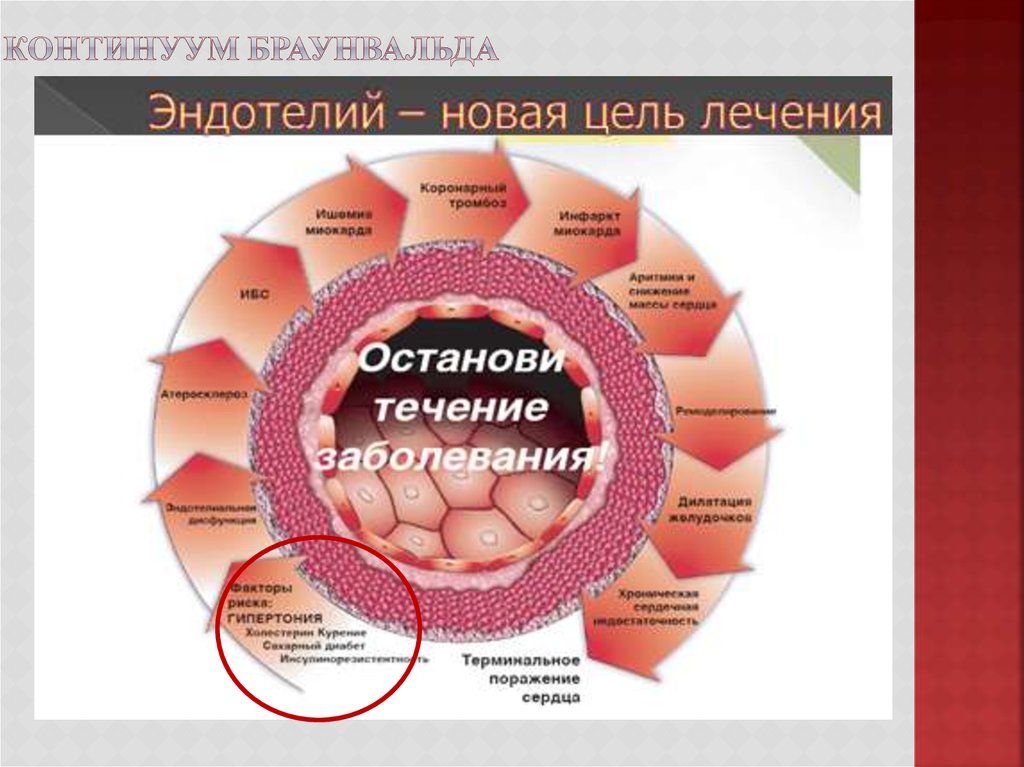 Континуум Браунвальда