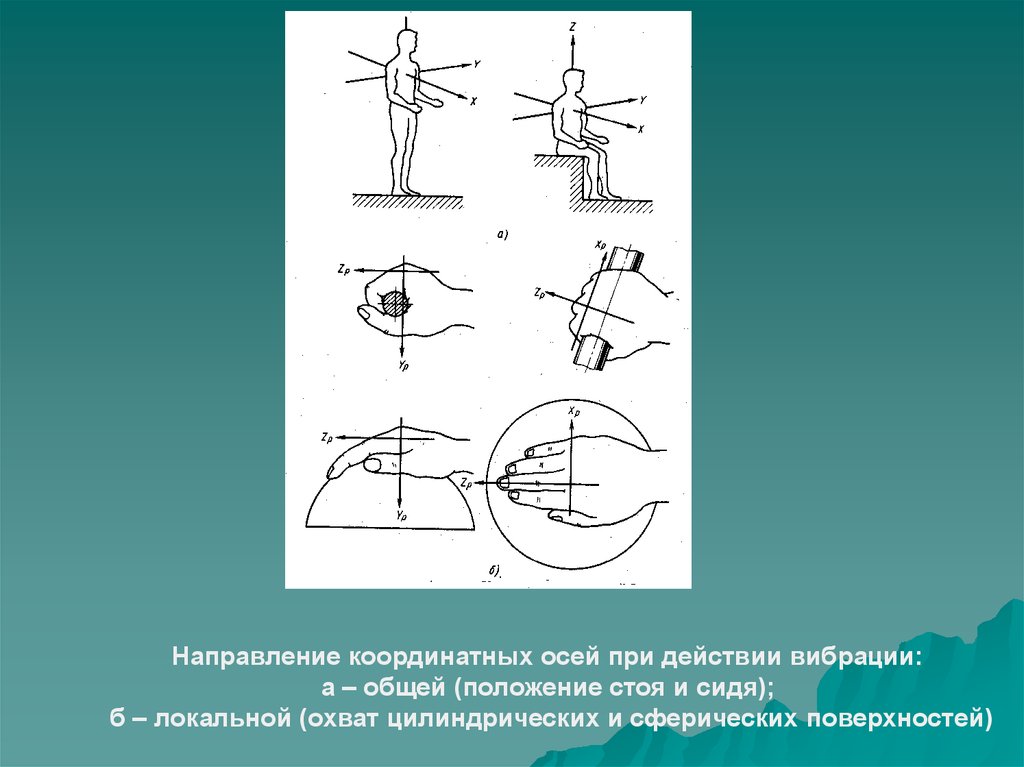 Ось действия. Действие локальной вибрации. Координатные оси при действии общей вибрации. Направление осей локальной вибрации. Направление осей действия общей вибрации.