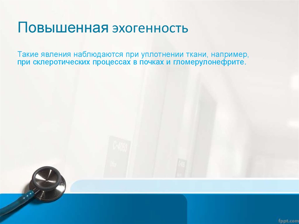 Повышенная эхогенность