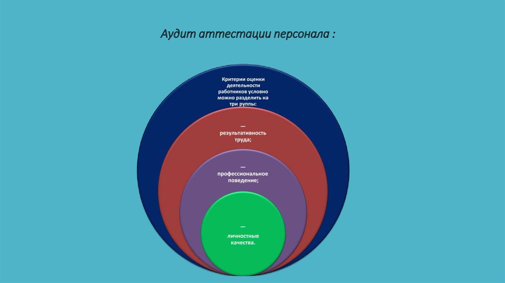 Аудит персонала курсовая