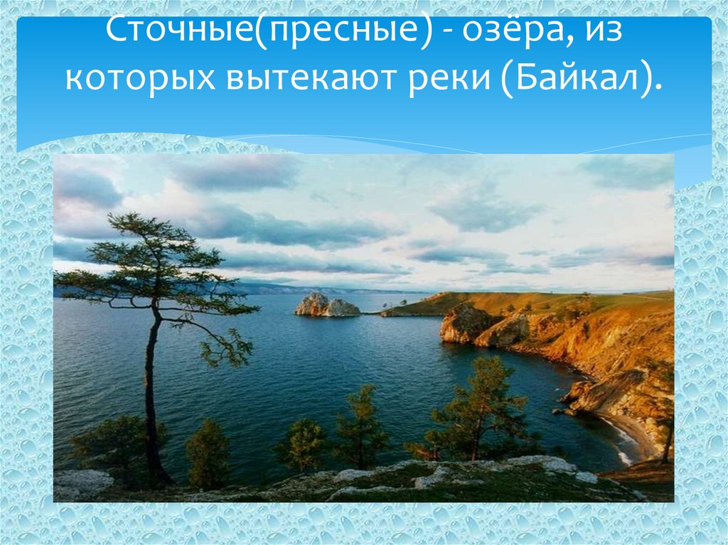 Ладожское озеро какое происхождение. Котловина Ладожского озера. Происхождение Озерной котловины озера Байкал. Байкал бессточное озеро.