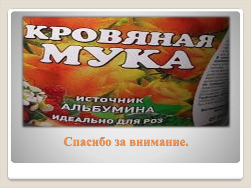 Спасибо за внимание.