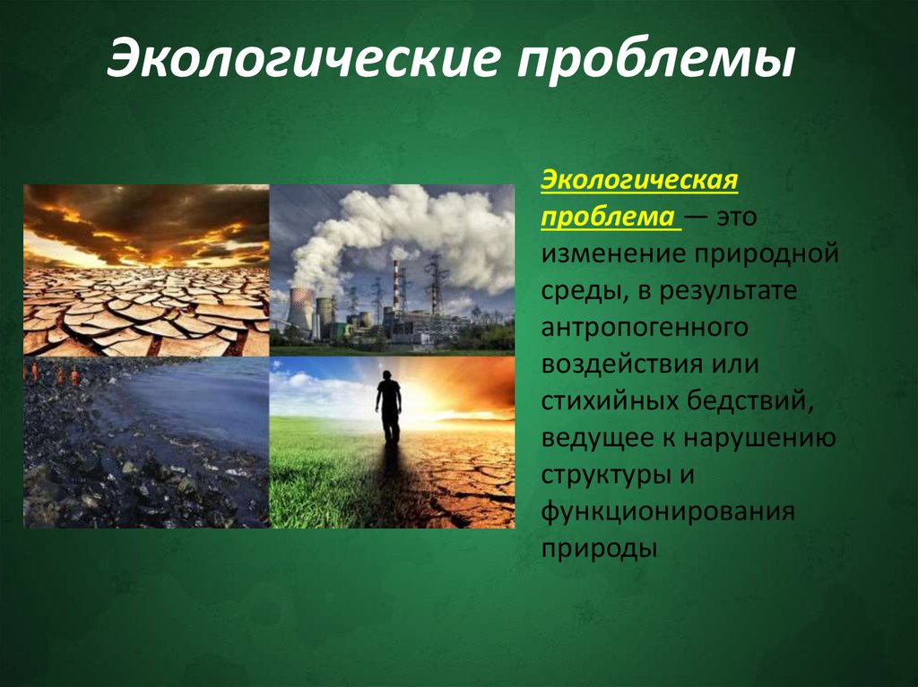 Презентация на тему экология моего города