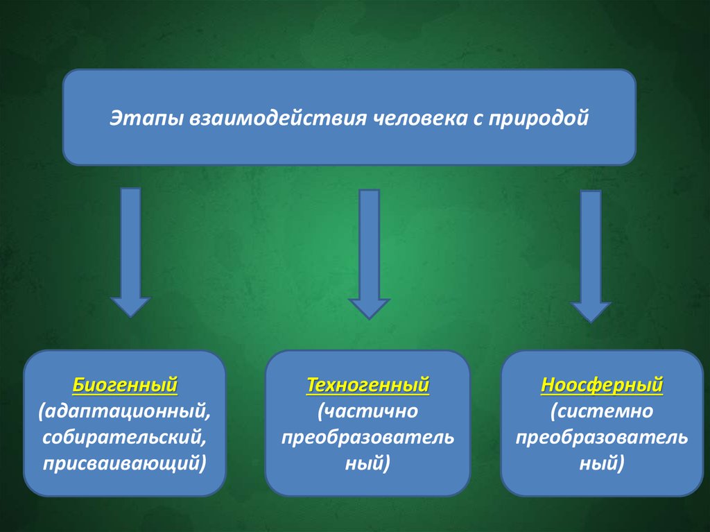 Связаны с взаимодействием человека и природы. Биогенный этап взаимодействия человека и природы. Этапы взаимоотношений человека и природы. Этапы взаимодействия людей. Взаимодействие человека и природы основные этапы.