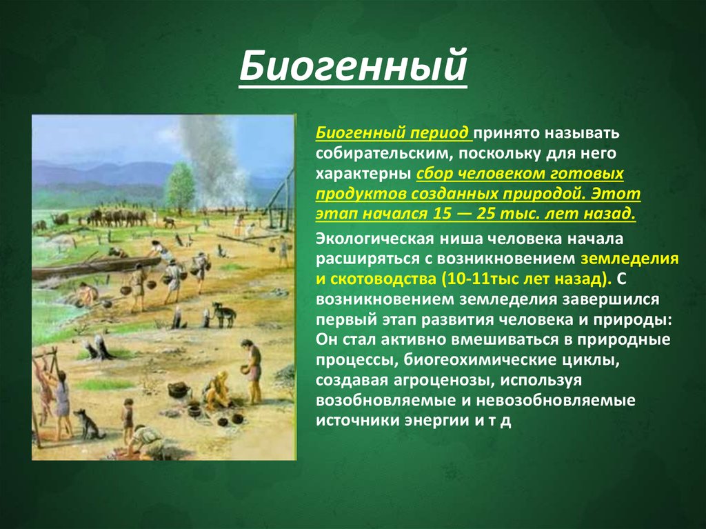 Период деятельности это. Биогенный этап взаимодействия человека и природы. Биогенный период развития человека. Биогенный период этапы. Биогенный этап деятельность человека.