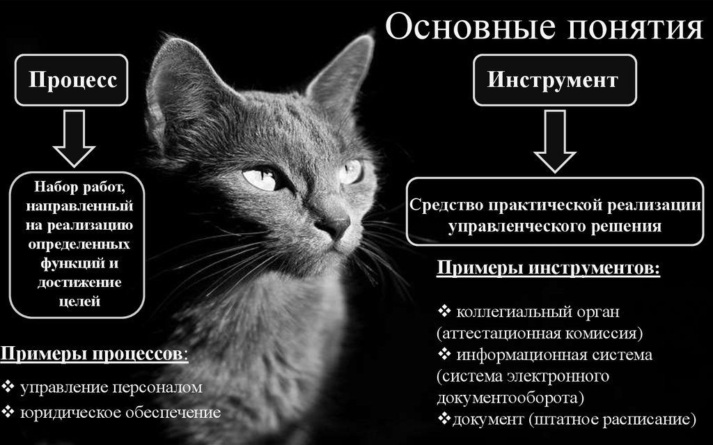 Основные понятия