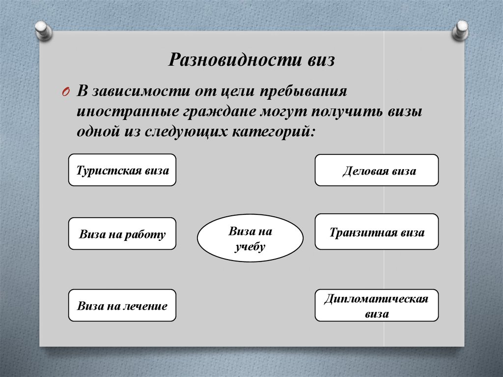 Презентация виды виз