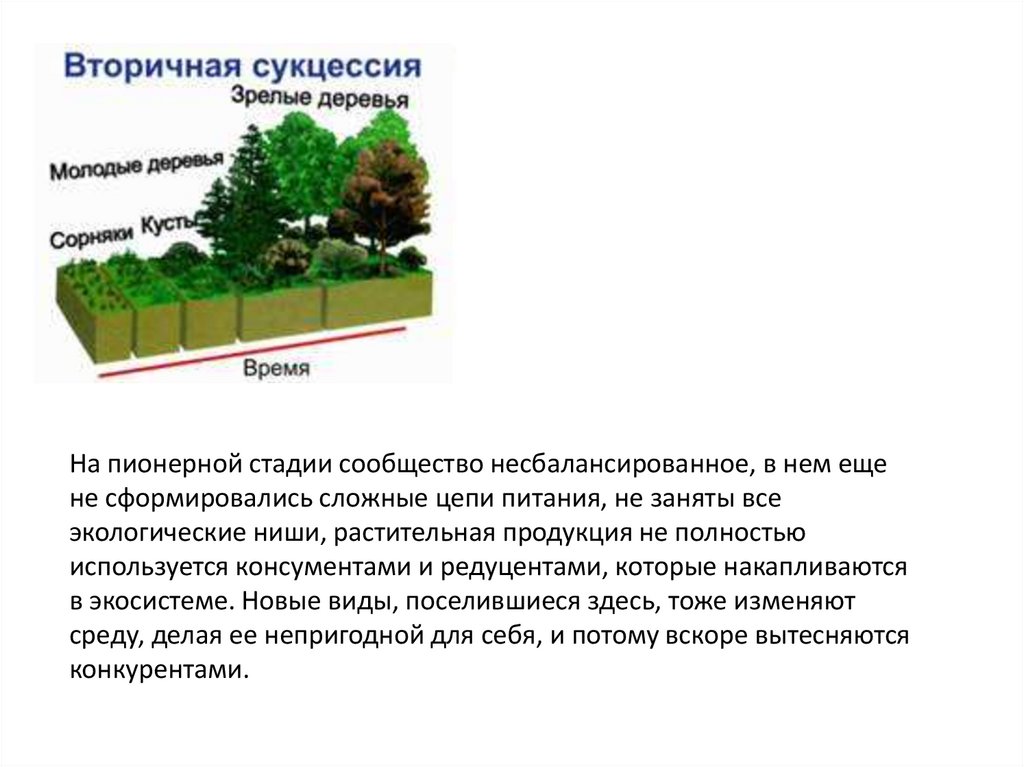 Смена природных сообществ примеры. Смена природных сообществ и её причины 6 класс видеоурок.