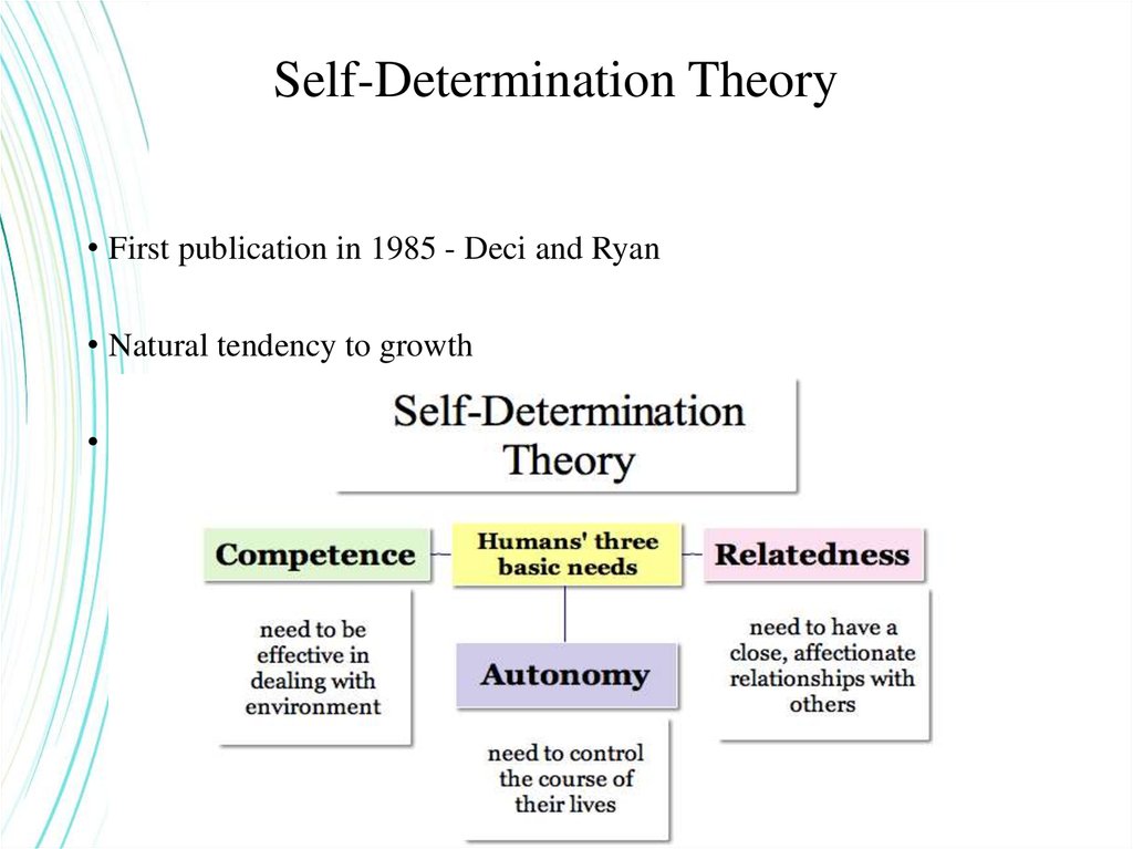 Self Determination Theory презентация онлайн 3407