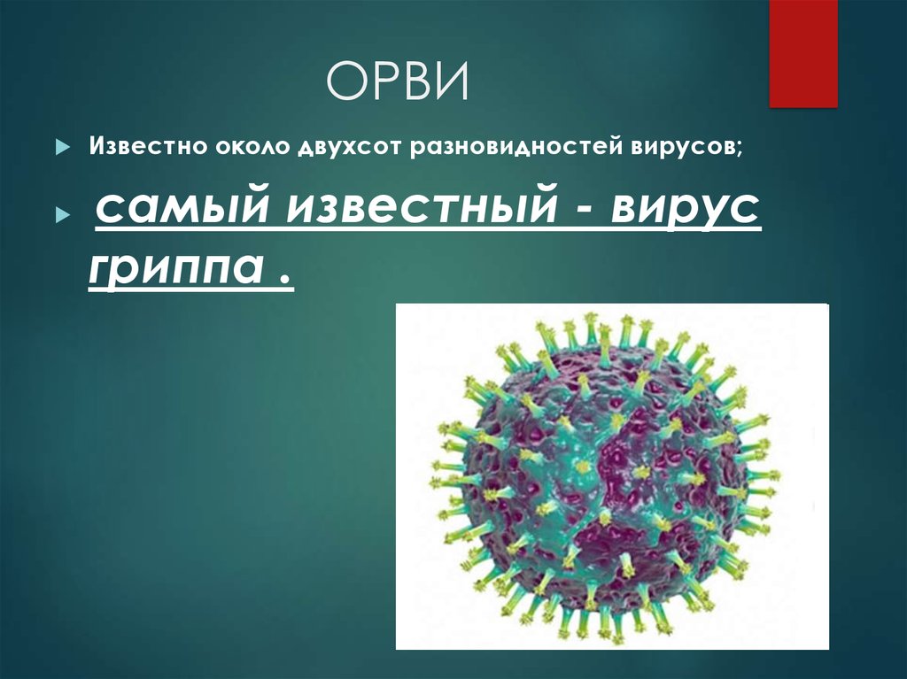 Группа вирусов гриппа. Вирус гриппа. Самый известный вирус гриппа. Известные вирусы. Вирус гриппа 5 класс биология.