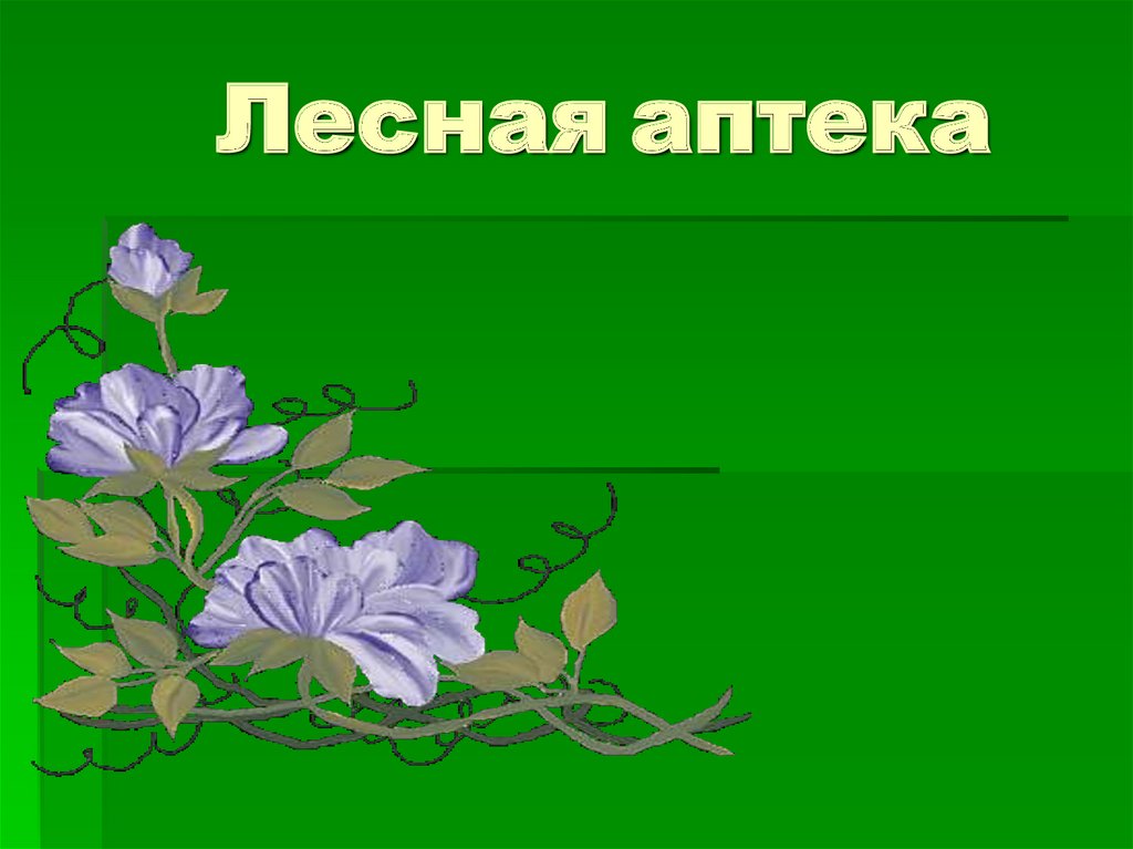 Презентация про 2 класс. Лесная аптека. Презентация на тему Лесная аптека. Лесная аптека 2 класс окружающий мир. Проект Лесная аптека 2 класс.