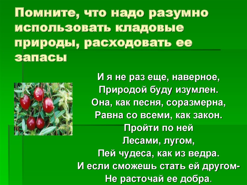 Презентация лесная аптека