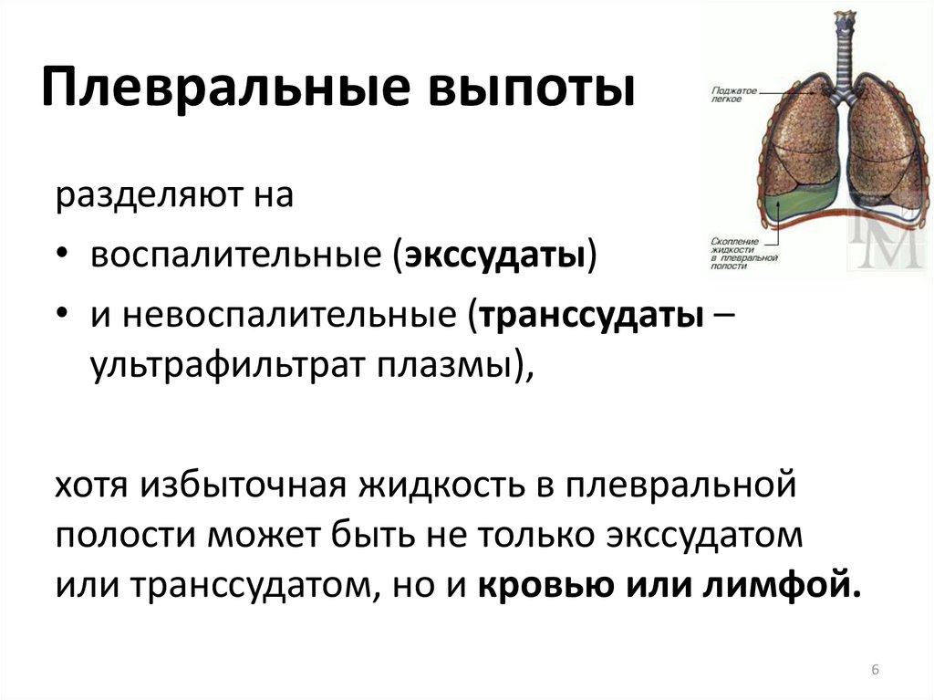 Жидкость в легких лечение. Транссудат плеврит. Транссудативный плеврит это. Малый правосторонний плевральный выпот. Выпот в плевральной полости.