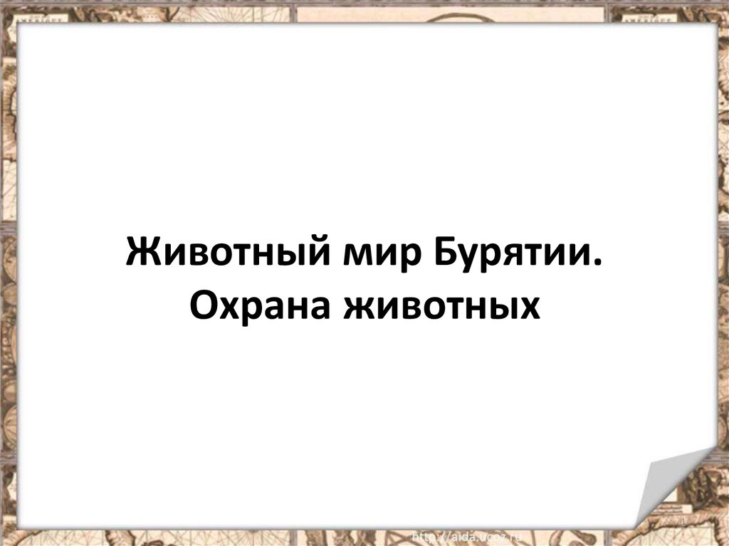 Мир бурятия. Животный мир Бурятии презентация. Охрана животных Республики Бурятия презентация.