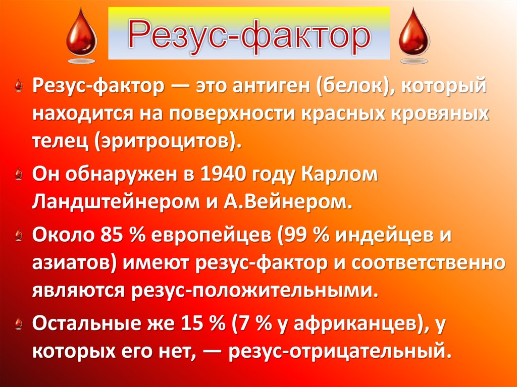 Особенности резуса крови