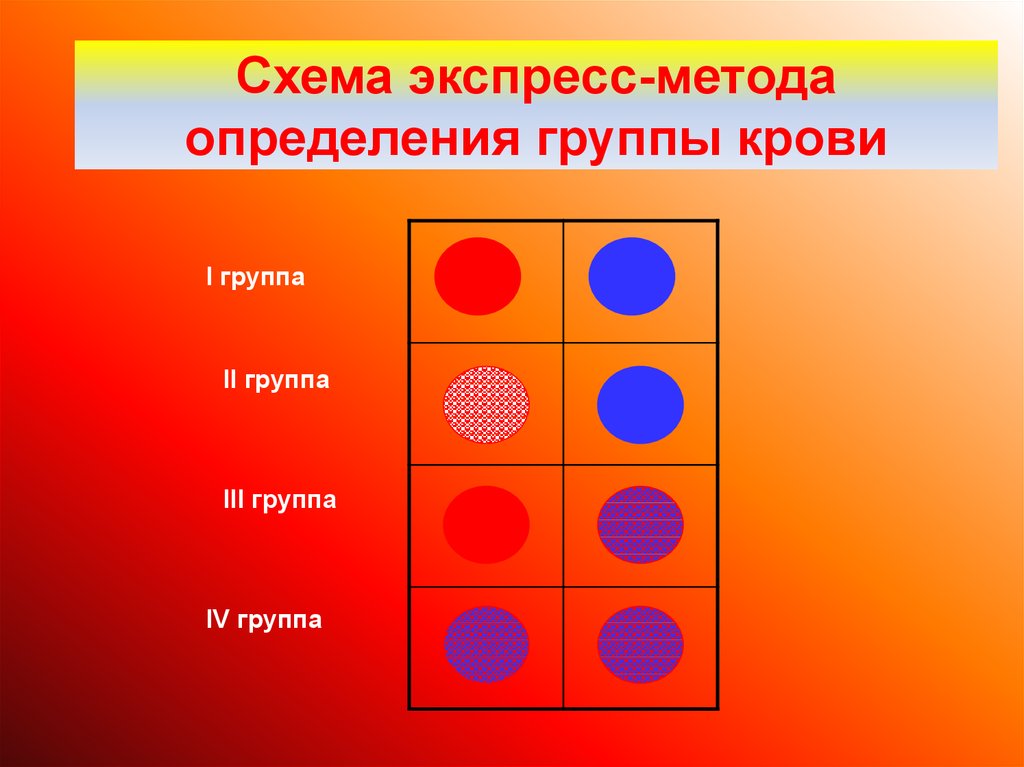 Занимать в этой группе определенное. Схема экспресс метода определения группы крови. Группа крови. Тест на группу крови. Тест на определение группы крови.