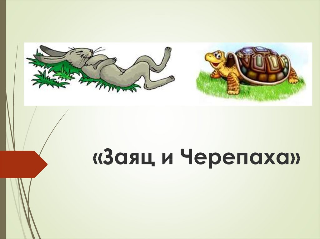 Рассказ заяц и черепаха. Заяц и черепаха. Иллюстрации заяц и черепашка. Иллюстрация заяц и черепаха. Ингушская сказка заяц и черепаха.