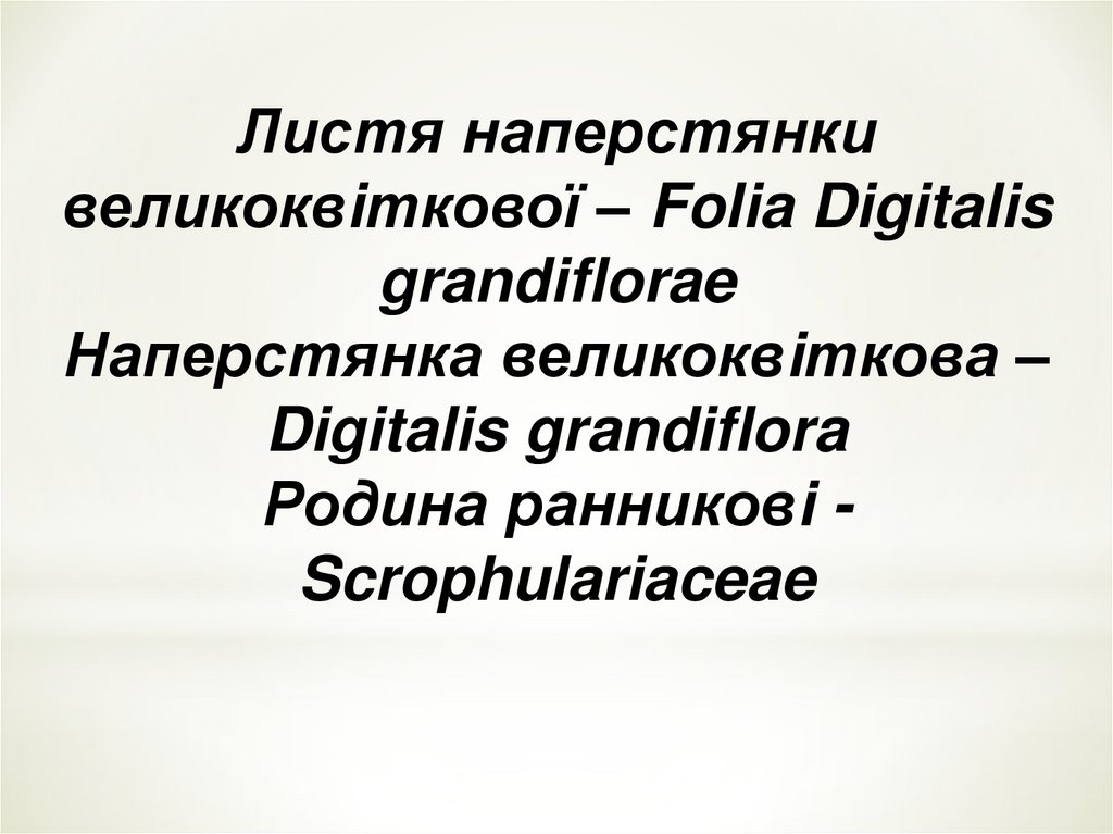 Листя наперстянки великоквiткової – Folia Digitalis grandiflorae Наперстянка великоквiткова – Digitalis grandiflora Родина