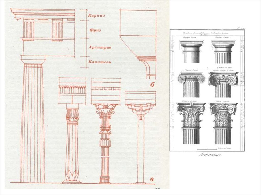 Чертежи ордеров. Дорический ордер древней Греции схема. Коринфский ордер древней Греции схема. Греческий Коринфский ордер построение. Дорический ордер древней Греции архитектура построения.