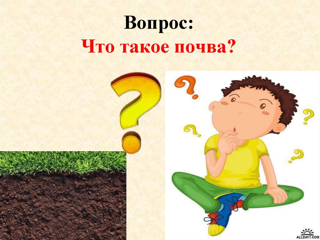 Вопрос: Что такое почва?