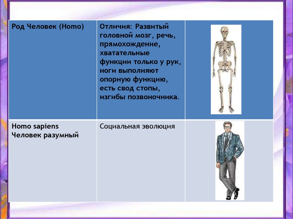 Люди человеческий род