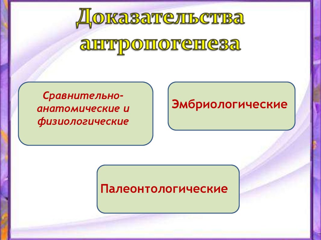 Палеонтологические сравнительно анатомические эмбриологические доказательства