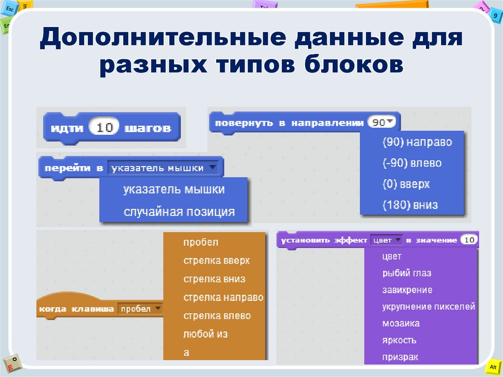 Скрипт полов