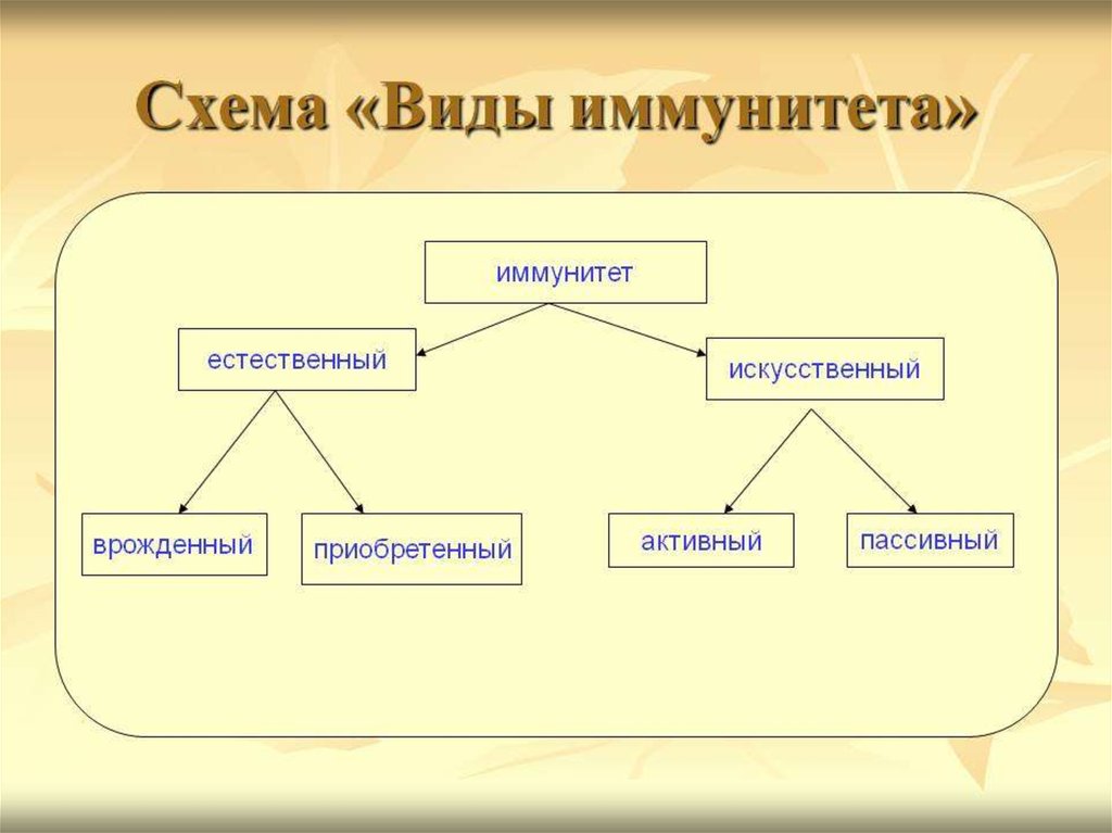 Классификационная схема иммунитета