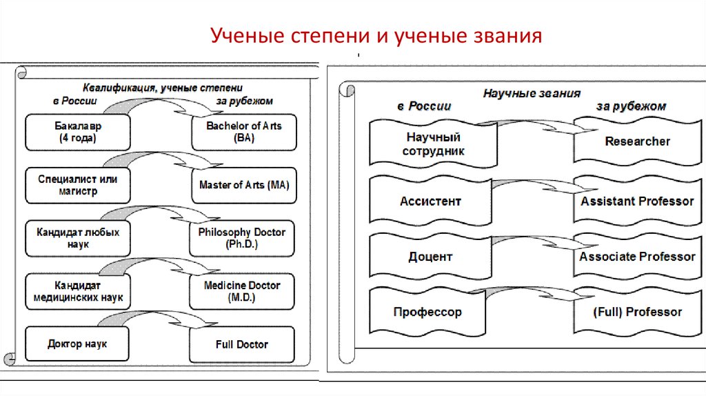 Ученые степени в порядке возрастания. Ученое звание. Ученая степень. Ученые степени и ученые звания в России. Научные звания и степени.