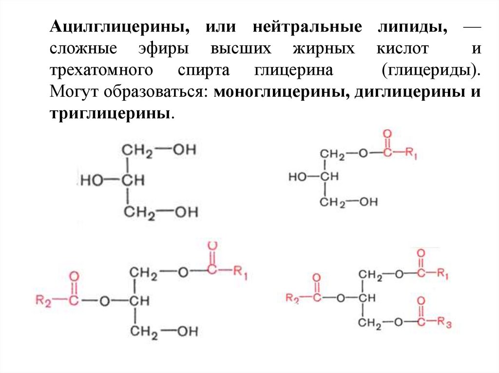 Ацилглицерины, или нейтральные липиды, —сложные эфиры высших жирных кислот и трехатомного спирта глицерина (глицериды). Могут