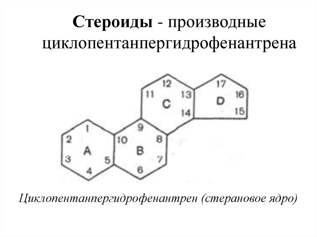 Стероиды - производные циклопентанпергидрофенантрена