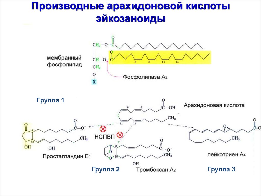 Производные арахидоновой кислоты эйкозаноиды