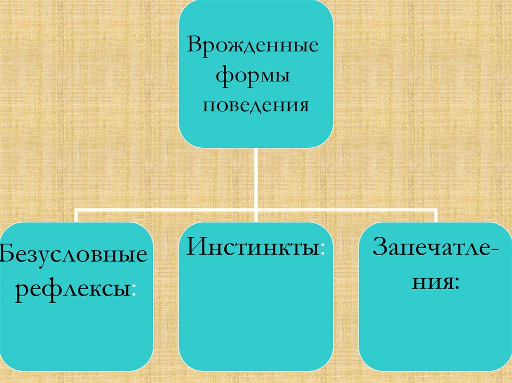 Презентация врожденные формы поведения 8 класс пономарева