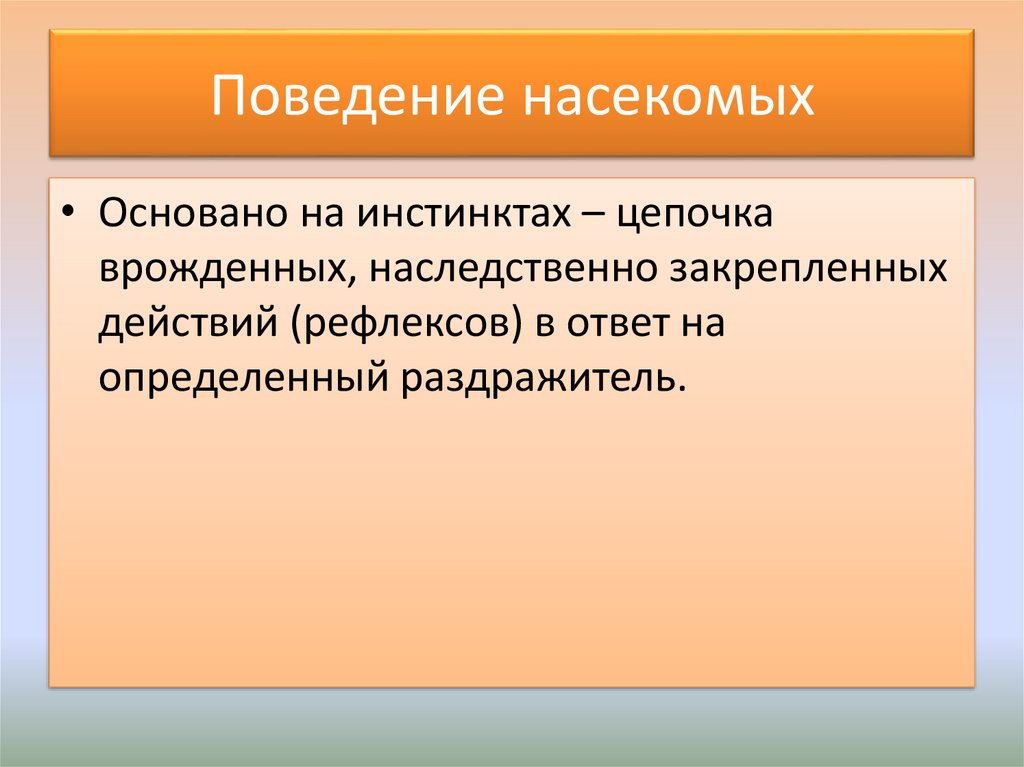 Поведение насекомых презентация