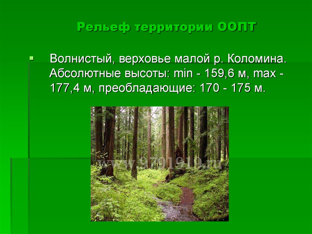 Рельеф территории. Полазненский ООПТ рельеф. Памятник природы областного значения «Сухаревский рям».