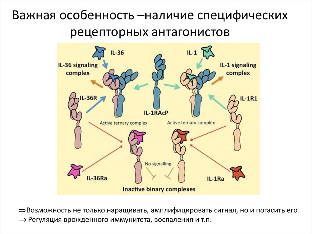 Интерлейкин 6 анализ