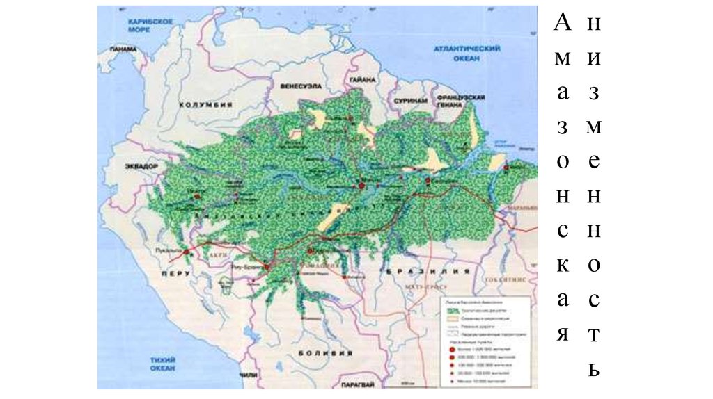 Амазонская низменность карта