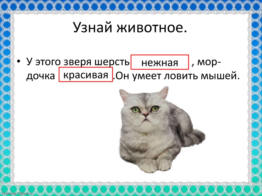 Узнай животное.