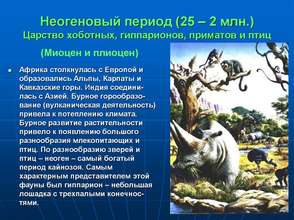 Неогеновый период (25 – 2 млн.) Царство хоботных, гиппарионов, приматов и птиц