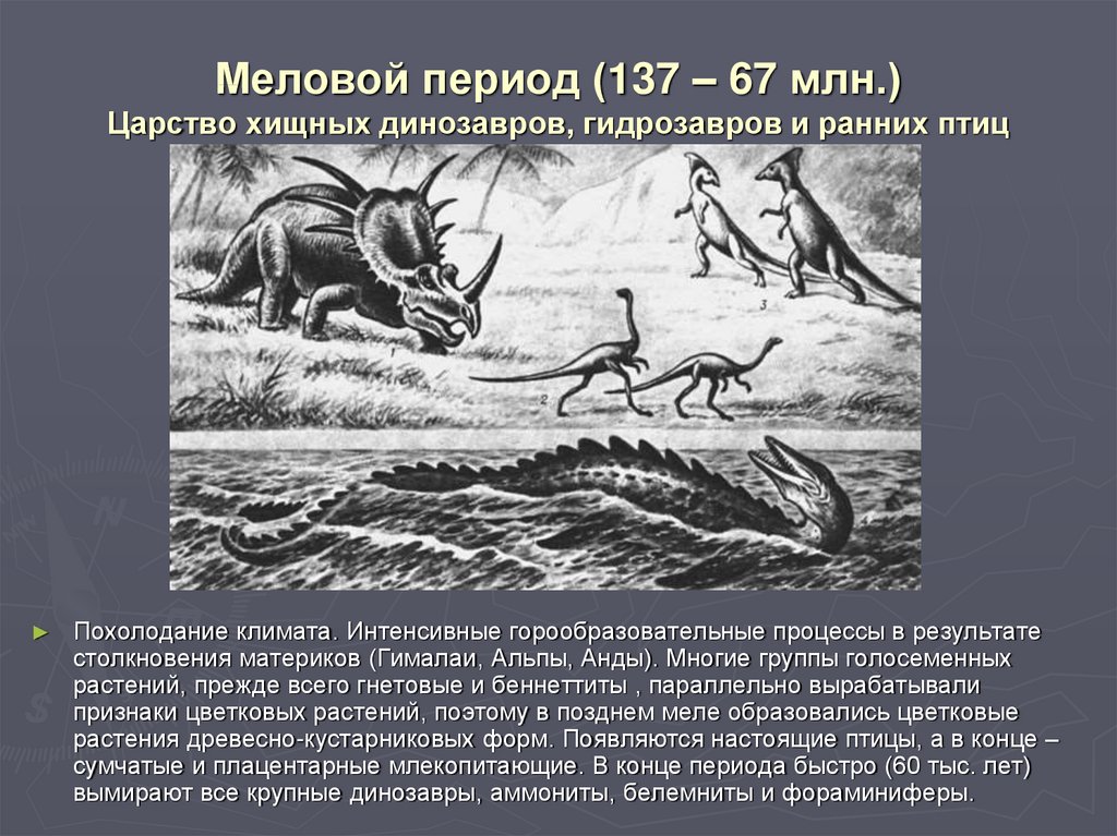 Меловой период (137 – 67 млн.) Царство хищных динозавров, гидрозавров и ранних птиц