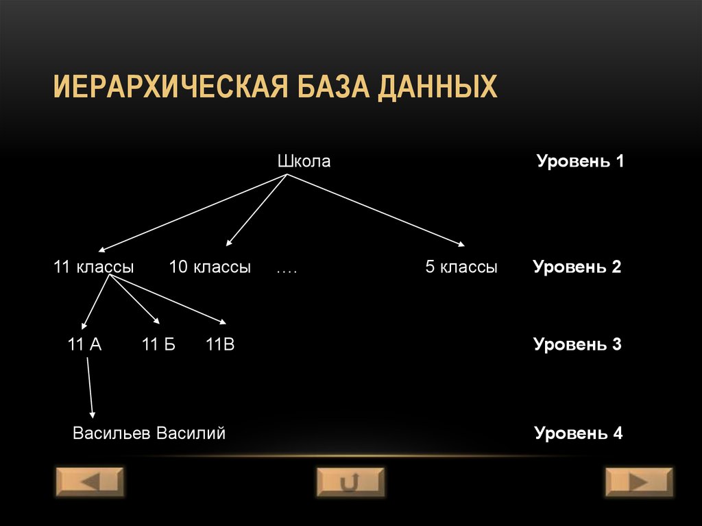 Иерархическая база данных схема